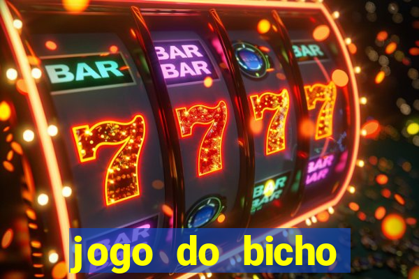 jogo do bicho crash bingo